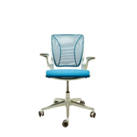 Humanscale Diffrient world chair