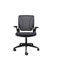 Humanscale black mesh Different world task chair